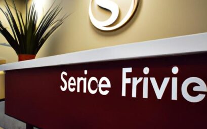 Service Finance Co Llc